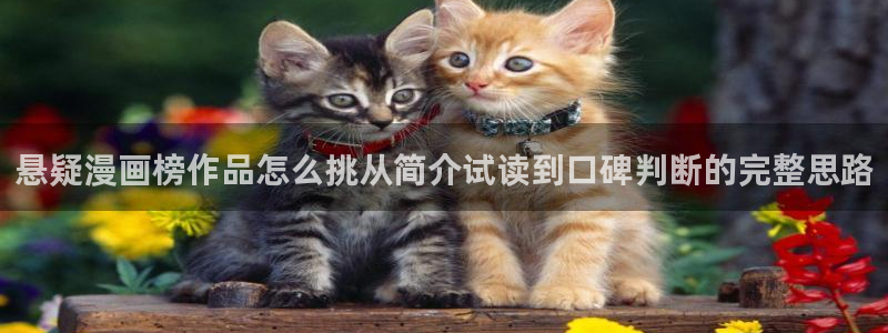 漫画免费看悬疑漫画