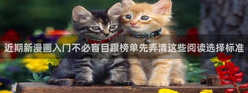 漫画免费看在线阅读网站