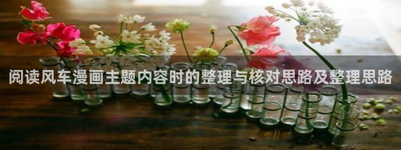 漫画免费看推荐榜：阅读风车漫画主题内容时的整理与核对思路及整理思路