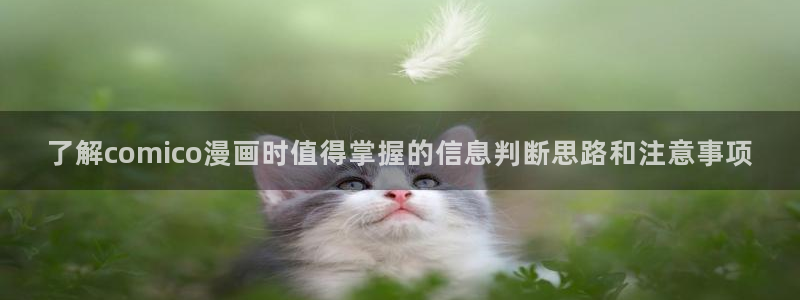 漫画免费看精品漫画:了解comico漫画时值得掌握的信息判断思路和注意事项